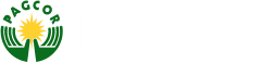 pagcor 98win