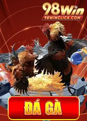 da ga 98win image