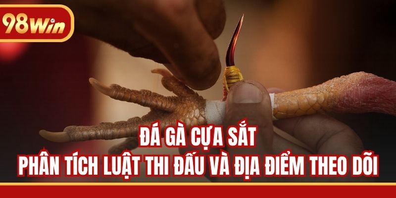 Đá Gà Cựa Sắt - Phân Tích Luật Thi Đấu Và Địa Điểm Theo Dõi