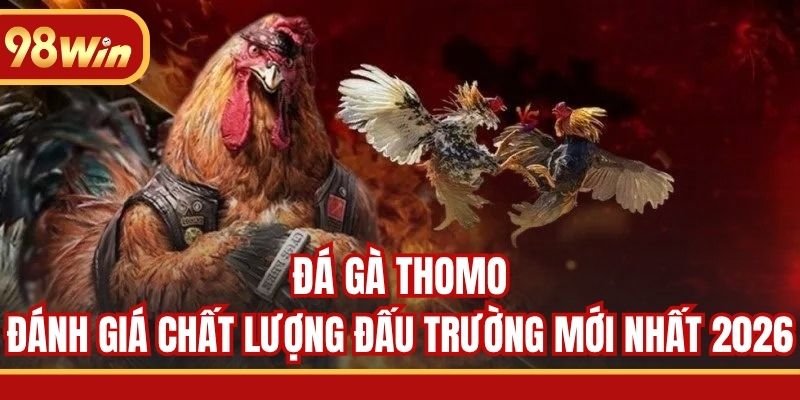 Đá Gà Thomo - Đánh Giá Chất Lượng Đấu Trường Mới Nhất 2026
