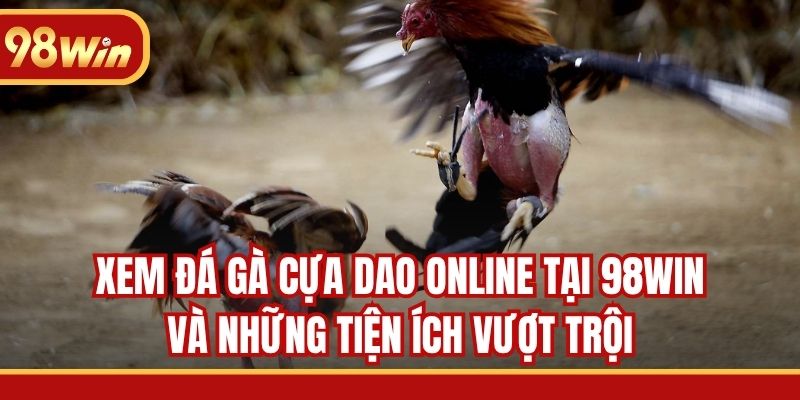 Xem đá gà cựa dao online tại 98WIN và những tiện ích vượt trội